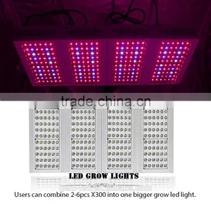 Low Price Aaa Quality High Power Cidly Grow Leds From Shenzhen Factory thumbnail-4