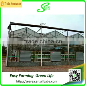 Modern Agricultural Equipments Glass Commercial Greenhouses thumbnail-6