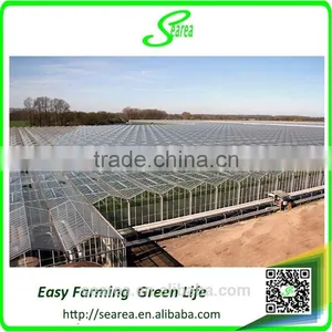 Venlo Glass Cover Metal Frame Greenhouse thumbnail-4