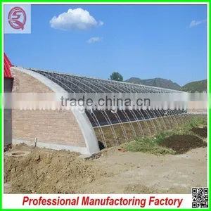 Double Layer High Tunnel Plastic Film Greenhouses for Flower/vegetable Growing thumbnail-3