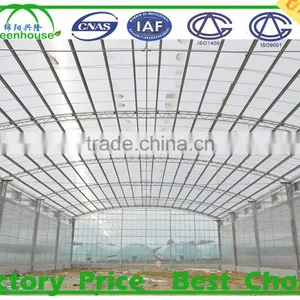 Commercial Industrial Greenhouse for Sale thumbnail-2
