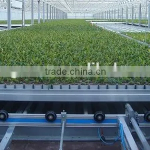 Nursery Greenhouse thumbnail-6