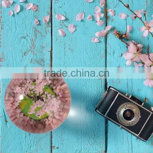 Household Crystal Glass Decoration Ball For Four Season, Best Birthday Gift To Your Girlfriend thumbnail-2