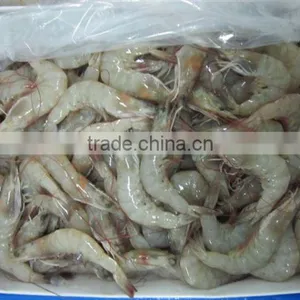 Vannamei Shrimps thumbnail-4