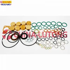 Diesel Pump Repair Kits 2 417 010 022 Gasket Kit And Rebuild Kit 800717 Overhaul Kit thumbnail-1