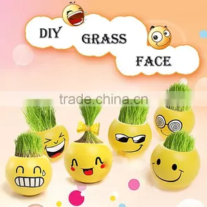 Mini Garden Growing Grass Hair Toy Growing Grass Head Toys 002-2(ceramic Colour Glaze) thumbnail-2
