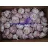 China Garlic thumbnail-1