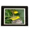 Sell Digital Photo Frame --All Sizes Are Available thumbnail-1