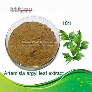 BEST Artemisia Argyi Leaf Extract thumbnail-1