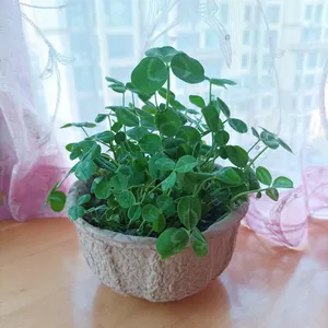Small Tabletop Vessel With Reinforced Rim, 600ml Capacity, Molded Fiber Thickness 2.5mm, Standard Compliant Design thumbnail-4
