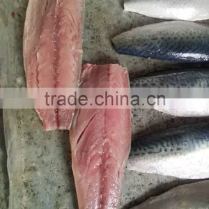 Pacific Mackerel Fillet and Scomber Japonicus thumbnail-4