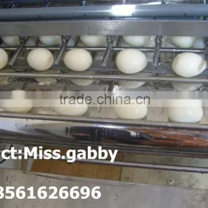 Quail Egg Shell Broken Machine thumbnail-3