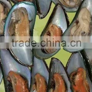 Frozen Green Mussel thumbnail-2