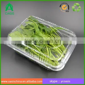 Plastic Clear Fruit Vegetable Packaging Box thumbnail-4