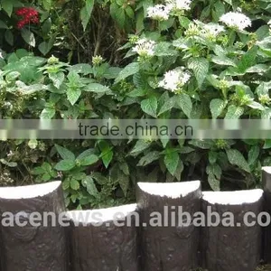 Wood Log Effect Lawn Edging Garden Edging thumbnail-1