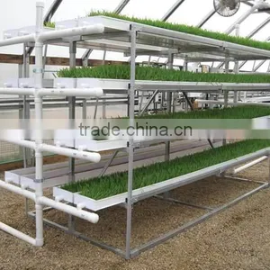 Hydroponics Fodder System for Agriculture thumbnail-1