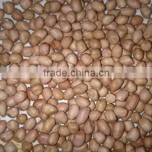 Peanut Kernel Round Type From China thumbnail-2