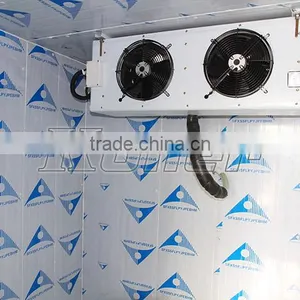 China Koller Walk in Freezer Cold Storage Room for Fishing & Seafood VCR30 thumbnail-2