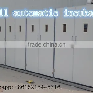 50000 Eggs Incubator Full Auto/50688 Chicken Egg Incubator/ZH-50688 Poultry Incubator thumbnail-6
