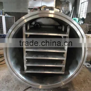 GZlS Series vacuum Freeze Dryer Used in Condiment  thumbnail-3