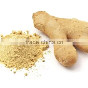 Professional Supplier Supply Dried Ginger Flakes Dehydrated Vegetables thumbnail-4