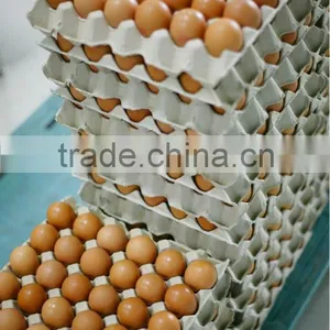 Paper Puld Egg Tray of 30 Cells thumbnail-5