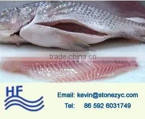 Frozen Fresh Gutted Scaled Whole Tilapia for Sale thumbnail-1