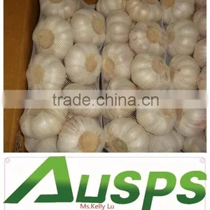 Fresh Natural Garlic Price thumbnail-1