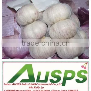 First Grade Fresh Pure White Garlic thumbnail-4