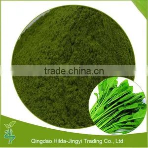 100 Mesh Latest Crop Dehydrated Spinach Powder thumbnail-1