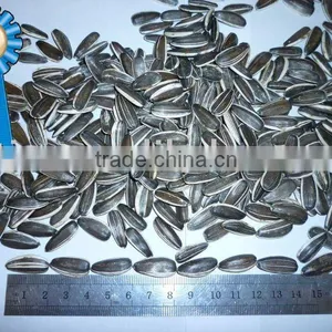 Chinese Sunflower Seeds thumbnail-1