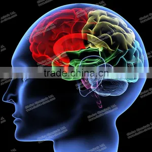 Gamma Aminobutyric Acid, GABA, CAS#56-12-2 thumbnail-6