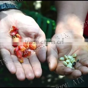 China Factory Supplying Coffee Bean Hulling Machine thumbnail-6