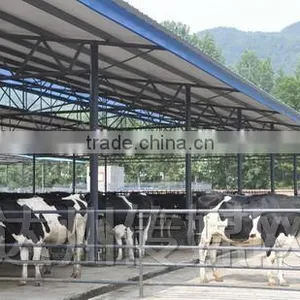Broiler Poultry Shed Design thumbnail-1