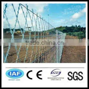 Wholesale China CE&ISO Certificated Straight Line Razor Barbed Wire(pro Manufacturer) thumbnail-1