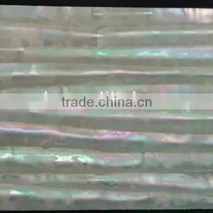 Straight Stripe Pattern Turbo Marmoratus Shell Laminates thumbnail-1
