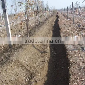 New Design Trencher and Grapevine Burying Machine thumbnail-3