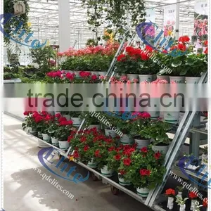 53 Plywood Base For Flower Trolley ,Welding Mesh Base For Flower Trolley, Pot Plant Trolley Base thumbnail-2
