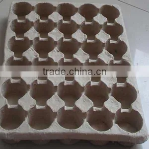 Recycle Paper Pulp Bottle Service Tray thumbnail-3