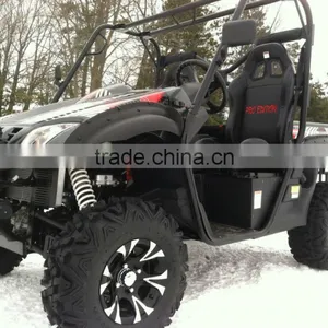 1000 EFI UTV thumbnail-5