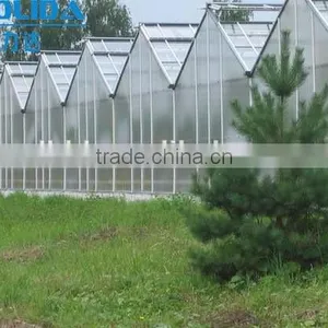 Chengdu BaoLiDa Low Price Multi-span PC Shed Greenhouse PC Sheet Greenhouse Vegetable Greenhouse thumbnail-4