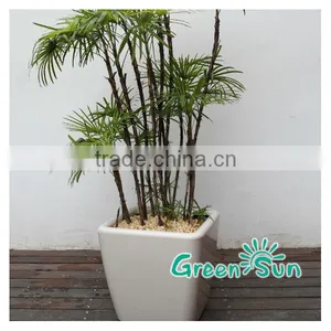 Landscape Flower Pots,Orchid Pots,desktop Planter,hydroponic Systems Flower Pots,plant Pots,self-watering Planter thumbnail-2