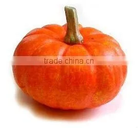 Atificial Fruits and Vegetables thumbnail-1