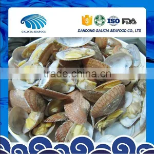 Boiled Short Neck Clam Nature Fresh FAO61 thumbnail-1