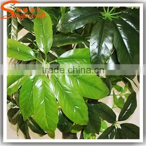 Realistic Mini Bonsai Tree Bonsai Plants for Sale thumbnail-3