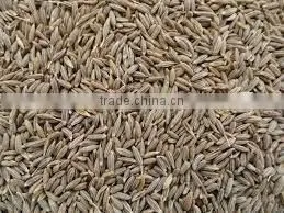Cumin Seeds thumbnail-2