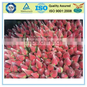Safeguarded Cheap Rose Flower Bud Netting thumbnail-1