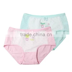 Wholesale 100 % Cotton Print Kids Underwear /Cartoon Print Girl Briefs Kids Underwear thumbnail-2