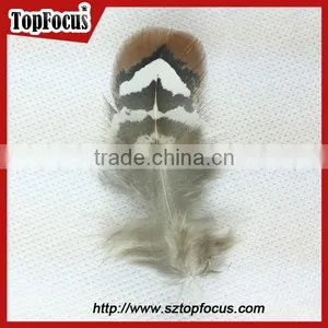 Wholesale 6-10cm White Loose Artificial Pheasant Feathers for Sale Cheap thumbnail-6