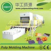 Pulp Molding Egg Tray Machinery Molded Pulp Egg Tray Egg Carton Fruit Tray Machine thumbnail-1